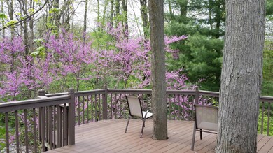 Spring Deck View