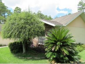Front Landscaping