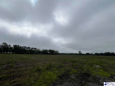 TBD Harry Byrd Hwy, Darlington, SC 29532 - photo 2