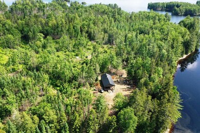 6 Indian Pond Point, Sapling Township, ME 04478 - photo 4