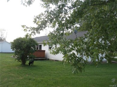 Large back yard