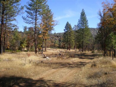 Hogsback #5