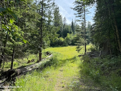 NKA S Fern Creek Rd, Cataldo, ID 83810 - photo 7