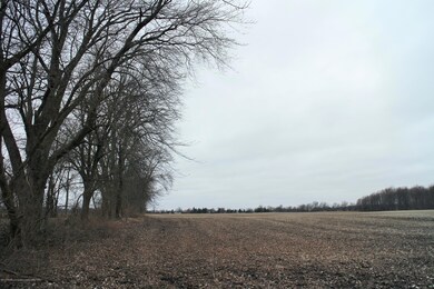 IMG_4771