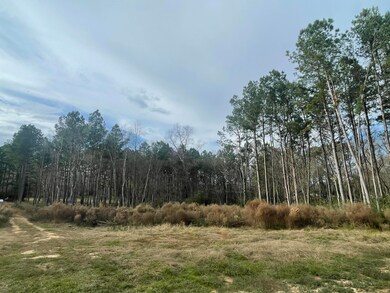 20 Cactus Dr, Laurel, MS 39443 - photo 3