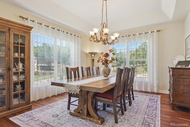 4619 Mohawk Dr, Larkspur, CO 80118 - photo 4