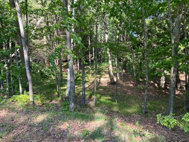 18 Split Oak Cir unit 4A/A001/01, Chesterfield, NH 03443 - photo 2