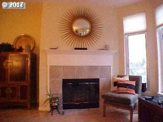 Fireplace Gas