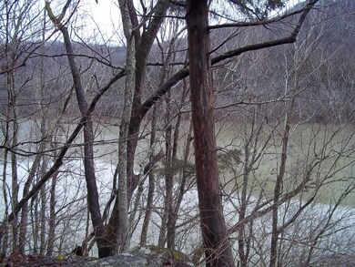 192 Buck Tail Dr, Burnside, KY 42519 - photo 7