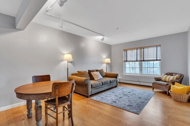 311 Hildred Dr, Burlington, VT 05401 - photo 5