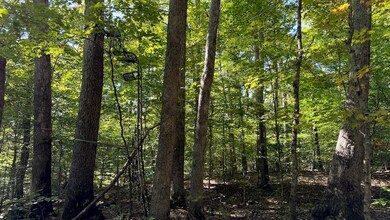 0 Olaton Rd unit LotWP001, Olaton, KY 42361 - photo 7