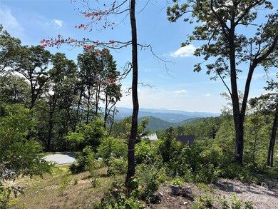 Lot 50 Mountain Grove Ln unit 50, Fletcher, NC 28732 - photo 6
