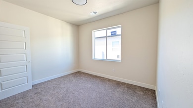 1640 Rusty Rivet Rd, Fruita, CO 81521 - photo 6