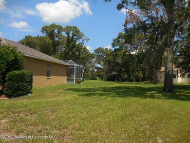 03 Right Side Yard