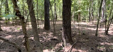 IMG_9256