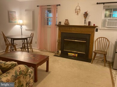 202 Hackley Ct, Purcellville, VA 20132 - photo 3