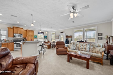 Open Living Concept