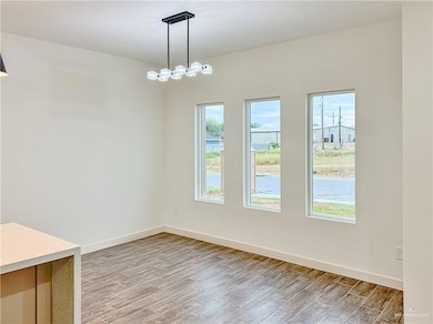 229 Palm Dr, La Joya, TX 78560 - photo 3