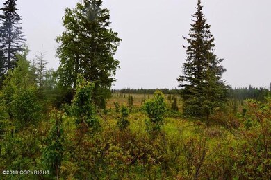 DSC_0003