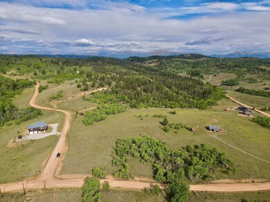 1087 Kite Ct, Como, CO 80456 - photo 6