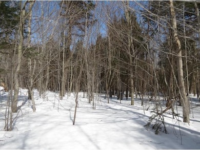 00 Bixby Rd, Ludlow, VT 05149 - photo 7