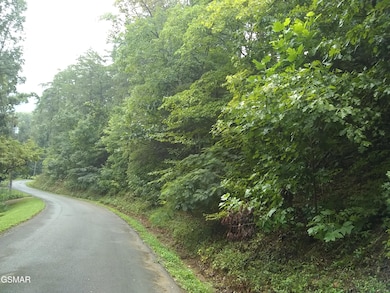 23 Walden Ridge Rd, Sevierville, TN 37862 - photo 2