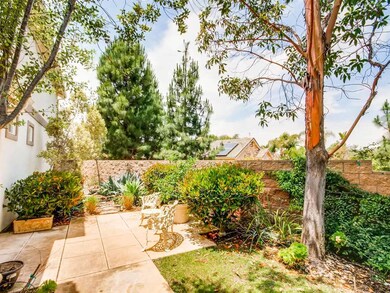 Succulent garden at entrance to home and office