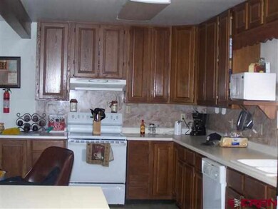 0 Hwy 491 unit 678907, Dolores, CO 81323 - photo 4