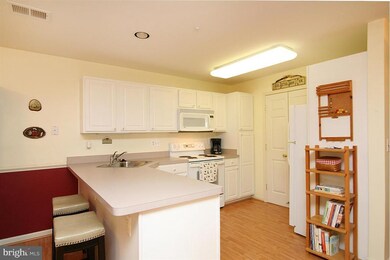 2013 Rudy Serra Dr unit 1C, Sykesville, MD 21784 - photo 4