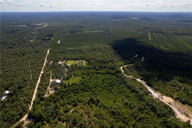 B066 006 Old Koa Rd, Waynesville, GA 31566 - photo 7