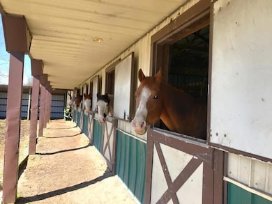 10792 N 600 E, Demotte, IN 46310 - photo 4