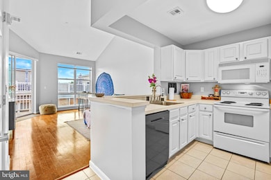 23 Pierside Dr unit 410, Baltimore, MD 21230 - photo 4