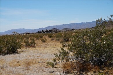 3000 Winfield Rd, Joshua Tree, CA 92252 - photo 6