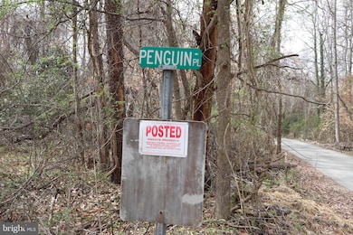 Lots 2-15 Penguin Place, Bryans Road, MD 20616 - photo 2