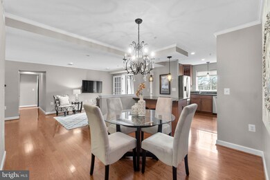 4151 S Four Mile Run Dr unit 302, Arlington, VA 22204 - photo 5