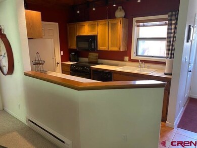 166 Yankee Girl Ct unit 310, Durango, CO 81301 - photo 4