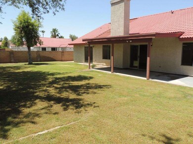 Back yard