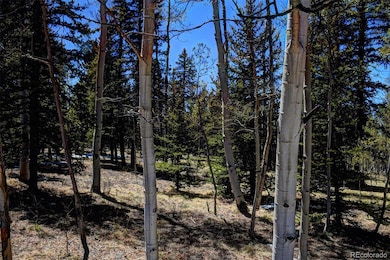 0 Kiowa St unit 9633454, Como, CO 80432 - photo 4