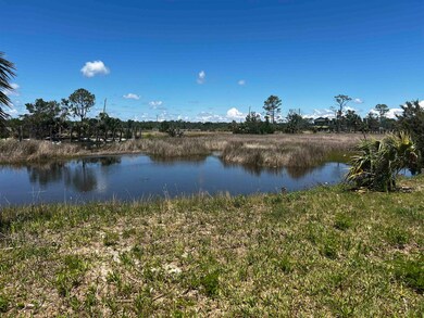 000 Ezell Beach Rd, Perry, FL 32348 - photo 4