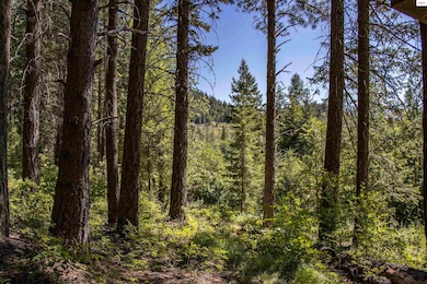 Lot 4 Windham Rd, Sagle, ID 83860 - photo 2