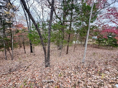 153 County Road 624, Isabella, MO 65676 - photo 3