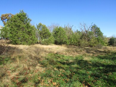 Tbd Peach Brook, Nixa, MO 65714 - photo 7