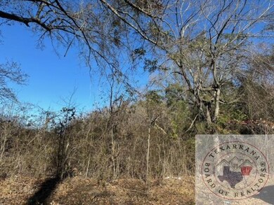 0 Homer Ford Ave, Nash, TX 75569 - photo 3