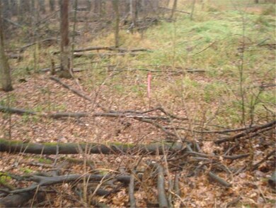 6.41 acres of HIGH AND DRY buildable land, bring y