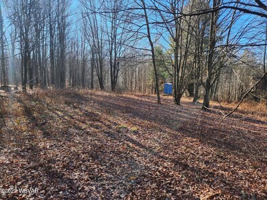 0 Fitzgerald Rd unit LOT 1 WB-96231, Dushore, PA 18614 - photo 4