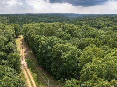 6375 Red Corn Ridge Rd, Proctor, OK 74457 - photo 7