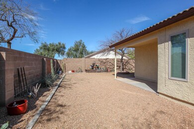 2 Backyard1