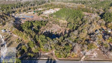 12 Acres Raybon Rd E, Nahunta, GA 31553 - photo 4