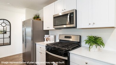 Representative Photo