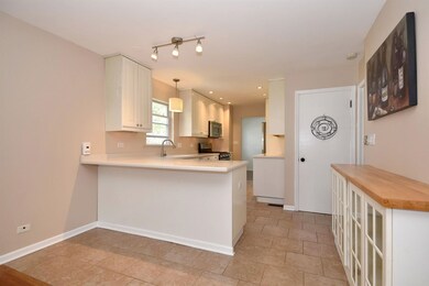 1310 E Walnut Ave, Des Plaines, IL 60016 - photo 7